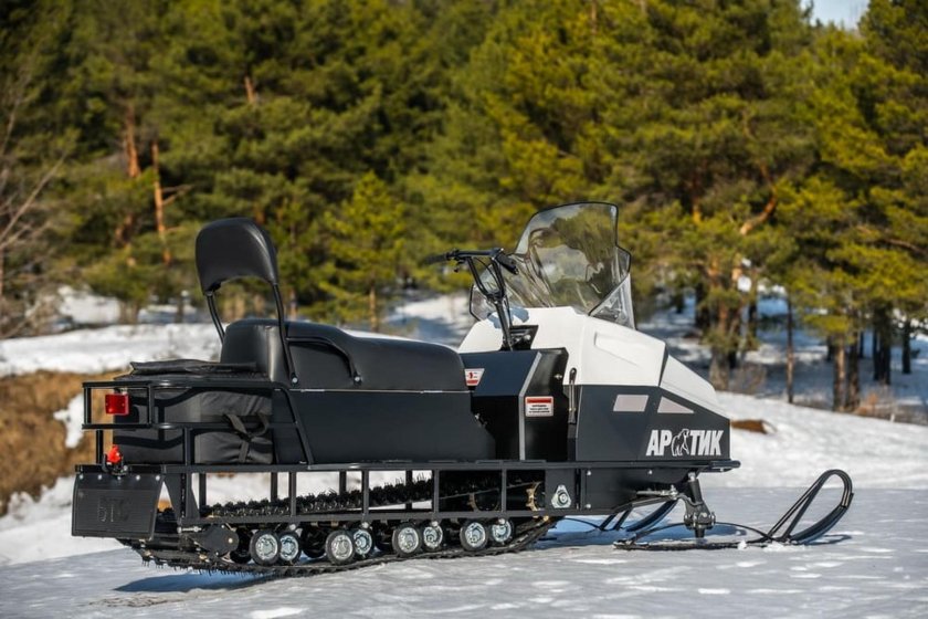 Мини снегоход БТС Арктик 4т