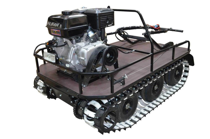 Койра мини 2022