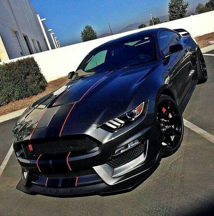 Ford Shelby gt350