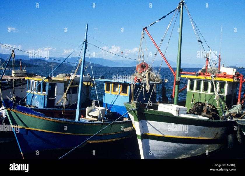 Рыболовство в Бразилии