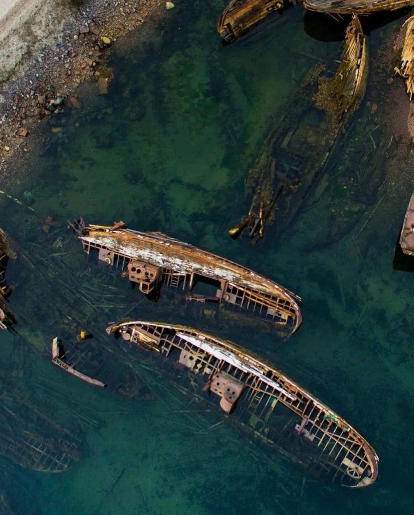 Териберка киты