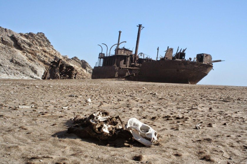 Пустыня Намиб берег скелетов