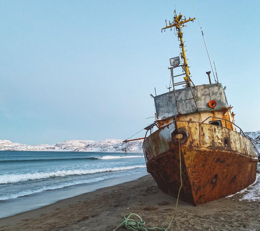 Териберка киты