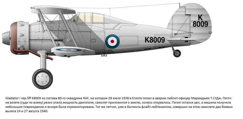 Самолет Томас