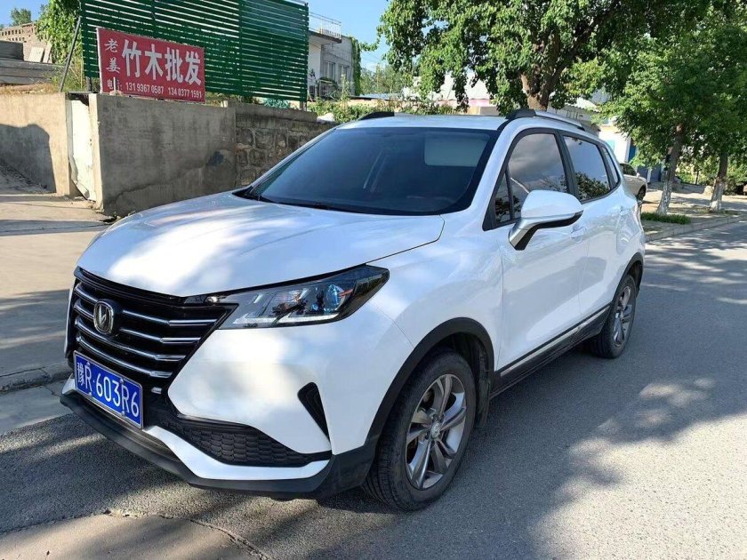 Белый чанган