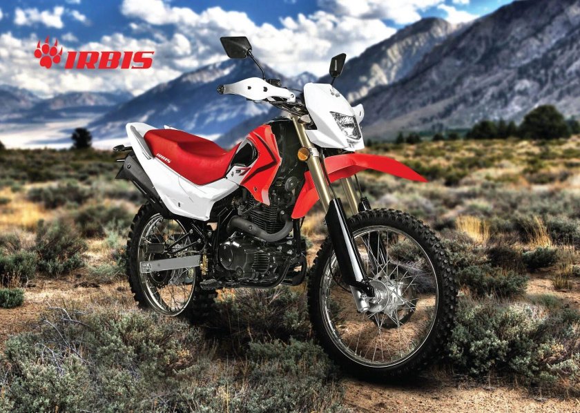 Ирбис мото лого