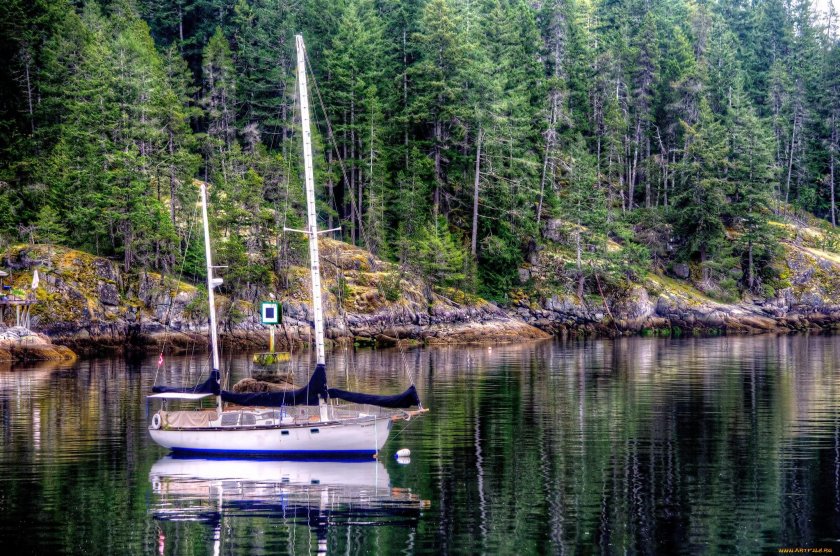 Парусник Лесной