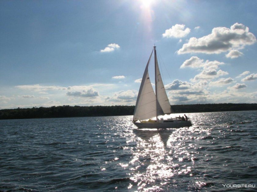 Озеро Сенеж Солнечногорск