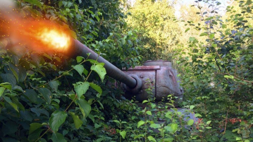 Танк в кустах