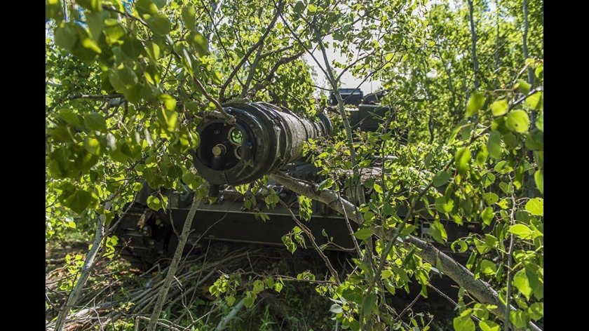 Танк в кустах