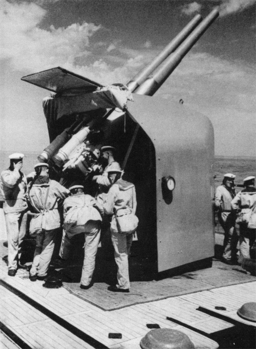 Минизини 100 мм