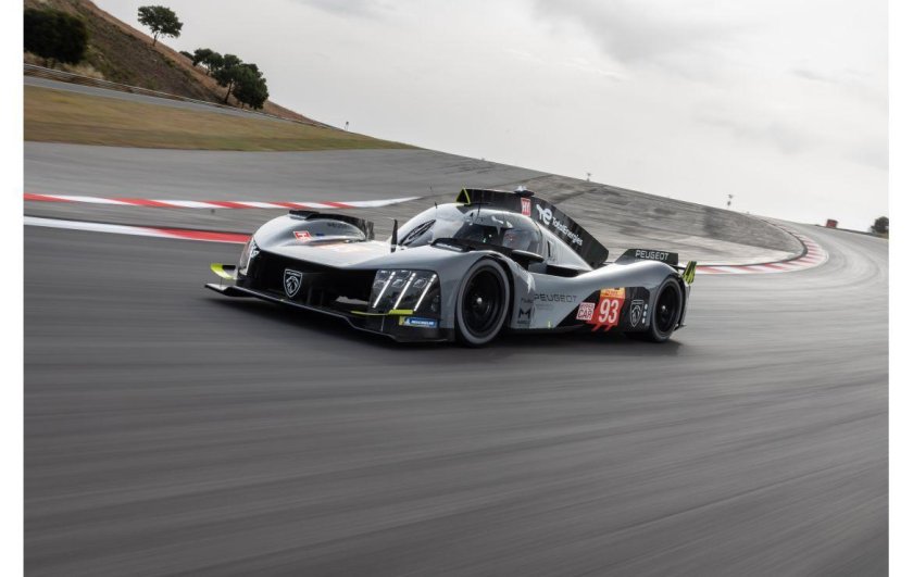 Fia world endurance championship