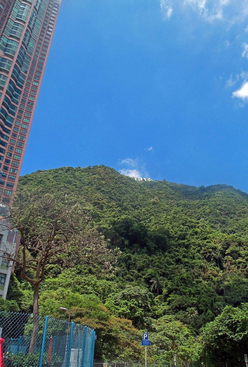 Пик Виктория в Гонконге высота