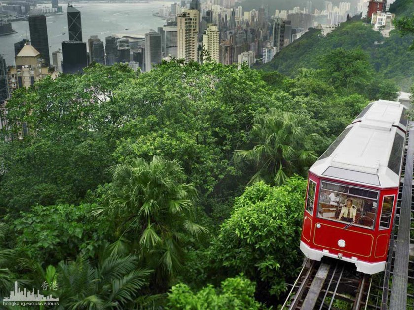 Пик виктория в гонконге