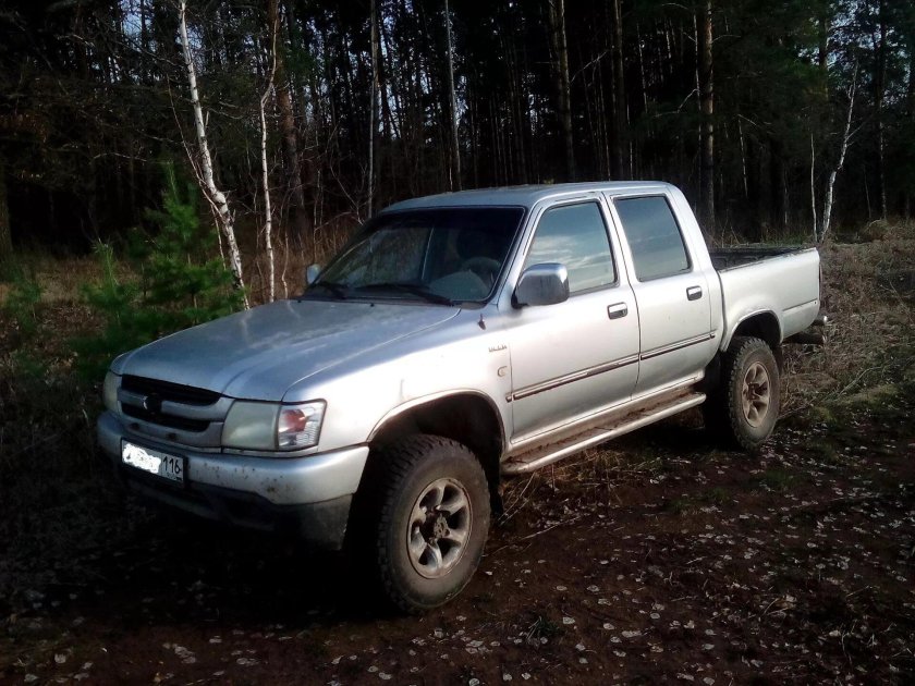 Great Wall Deer 2005