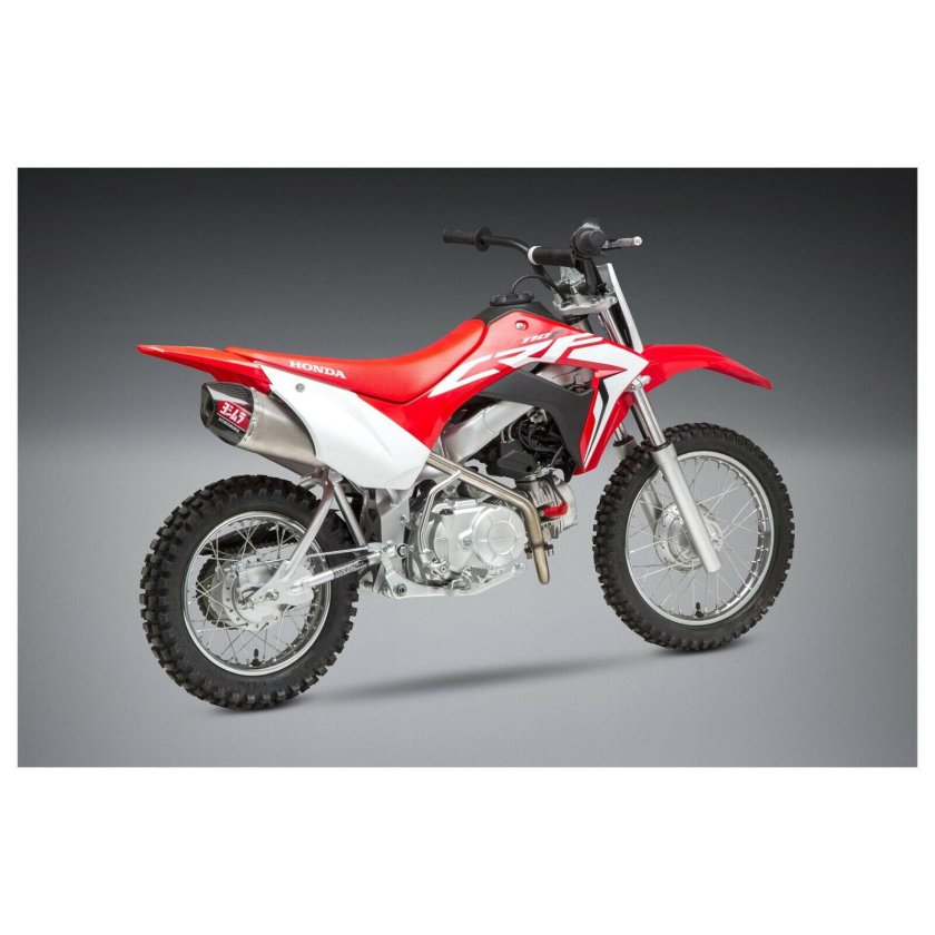 Ирбис в пластике ЦРФ 110