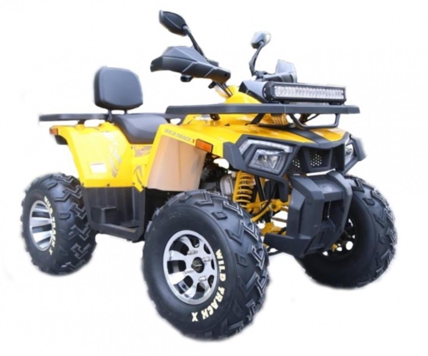 Квадроцикл Motoland 200 Wild