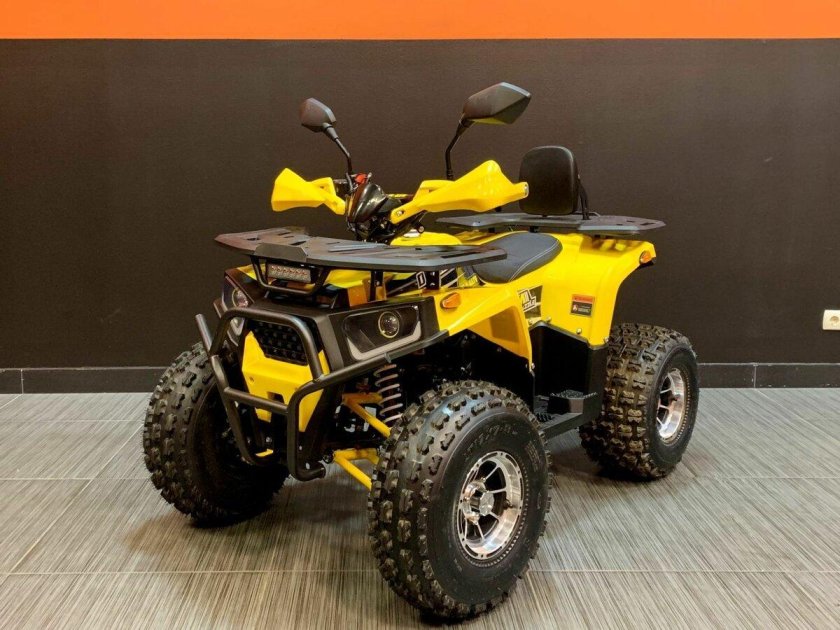 Квадроцикл Bison Forest 200 Lux