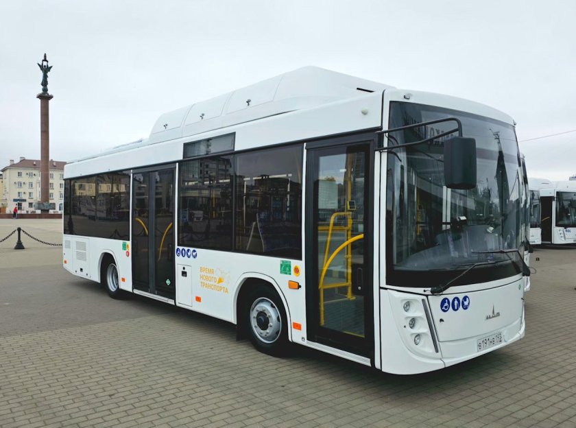 Новые автобусы маз