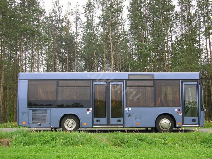 Новые автобусы маз