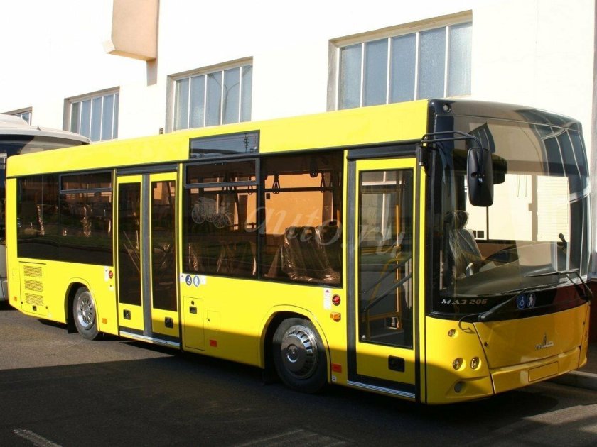Новые автобусы маз