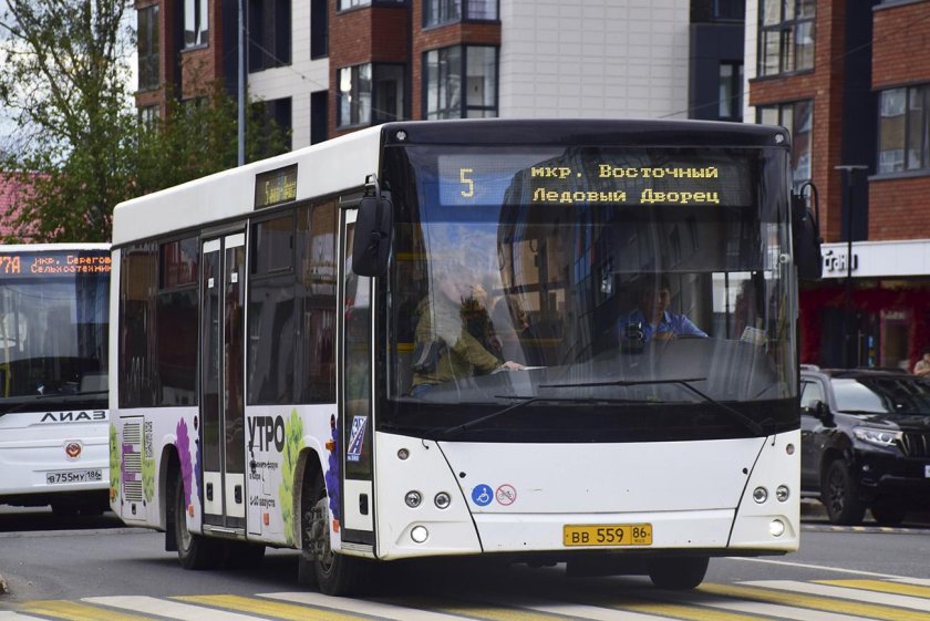 Автобус МАЗ 206 086