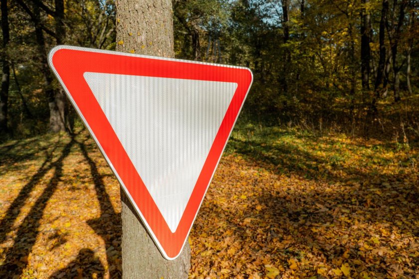 2.4 Уступите дорогу