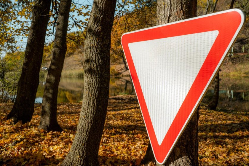 2.4 Уступите дорогу