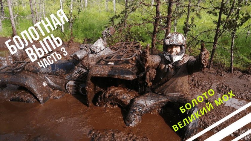 Оршинские болота