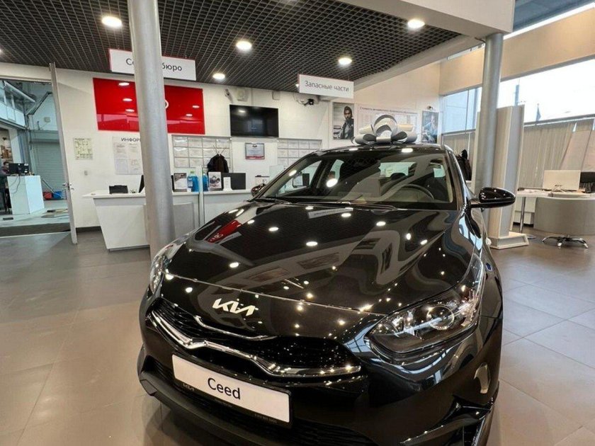 Киа на Савушкина 108 телефон