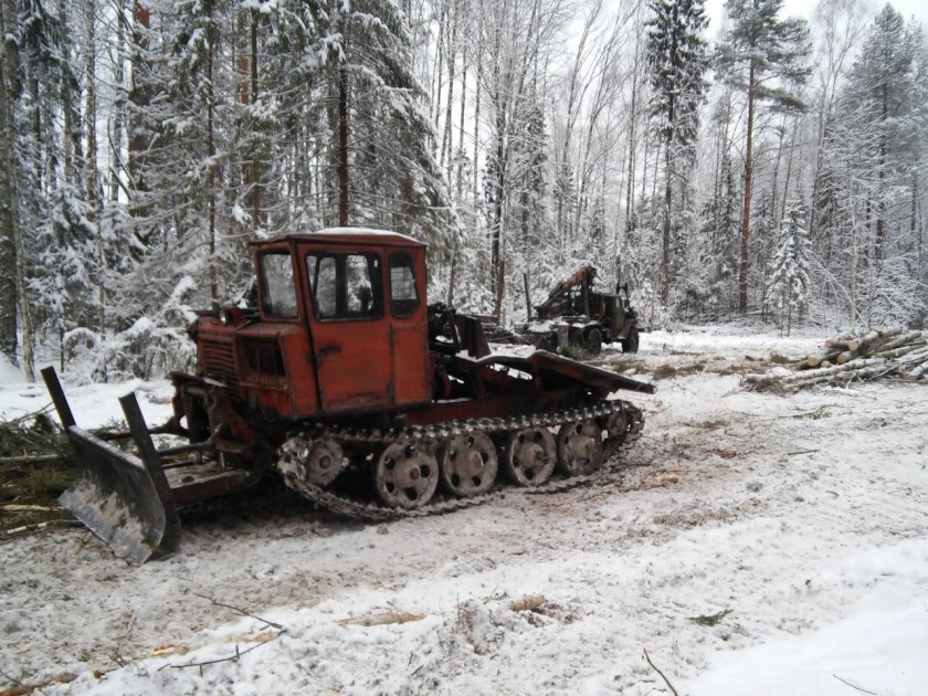 ТДТ-55 трелевочник