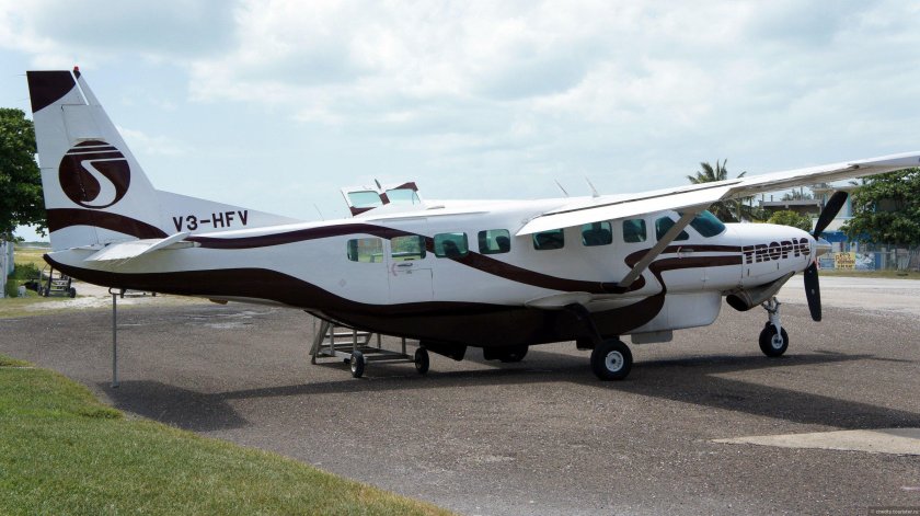 Softex v24 самолет