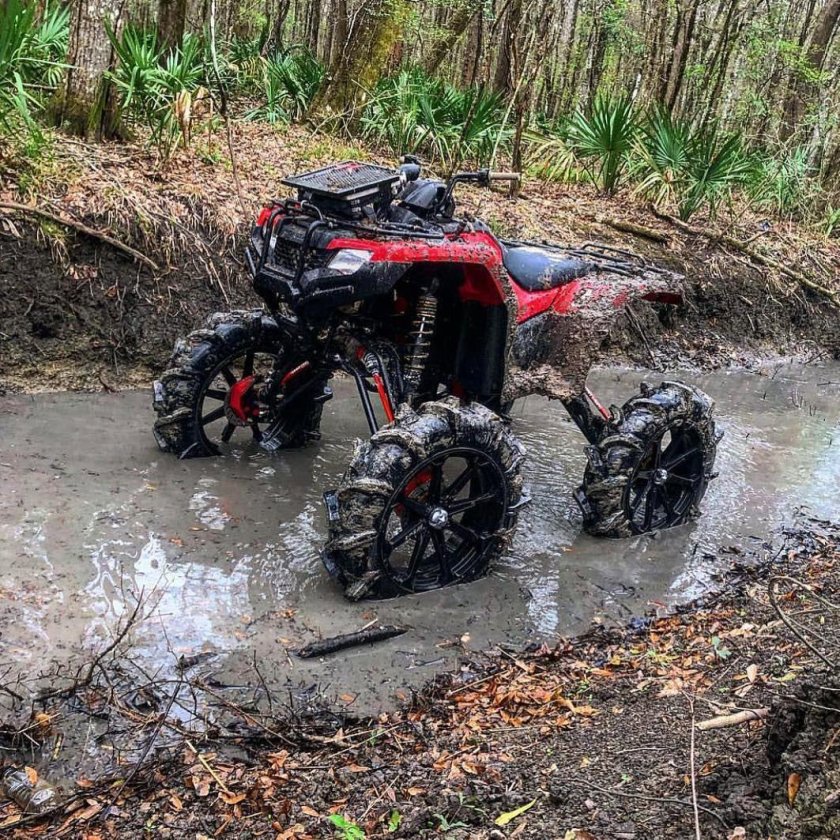 Квадроцикл Mud Quad atv