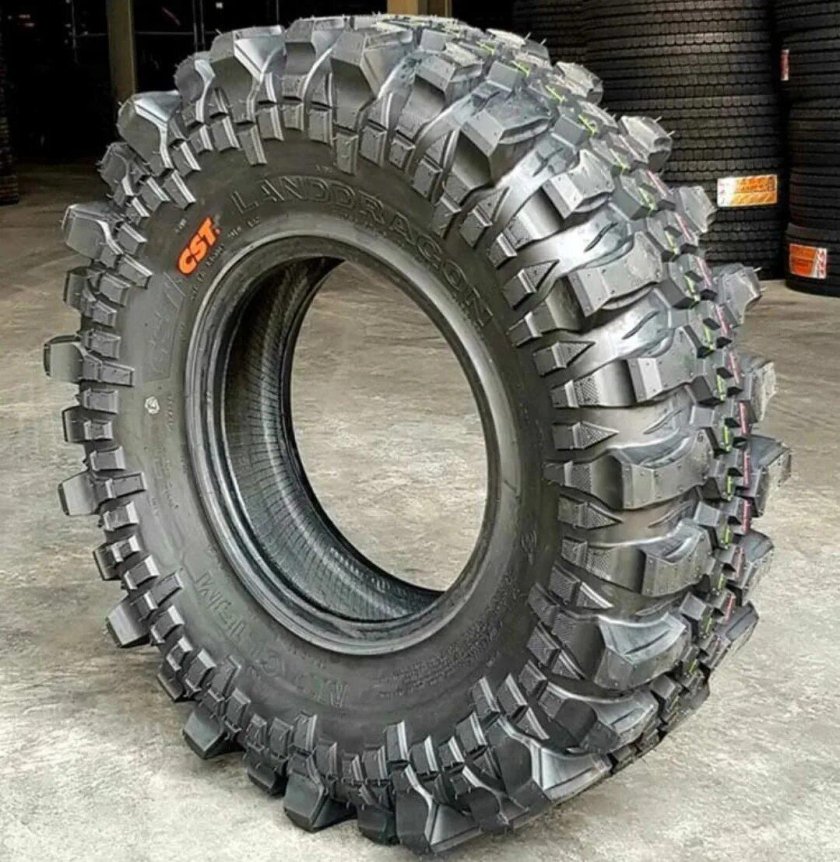CST Maxxis cl18 31 10.5