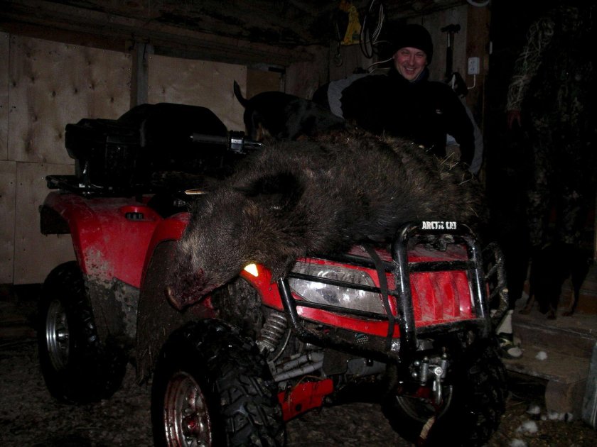 Квадроцикл для охоты