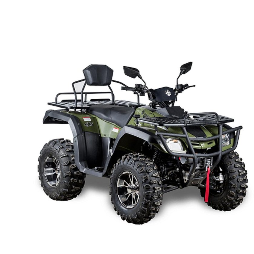 Квадроцикл мощный