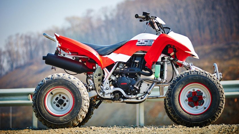 Ирбис АТВ 250 S