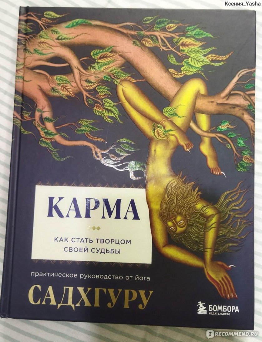 Чаша кармы книга