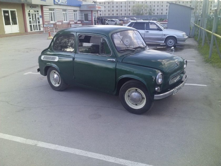 Жужик горбатый