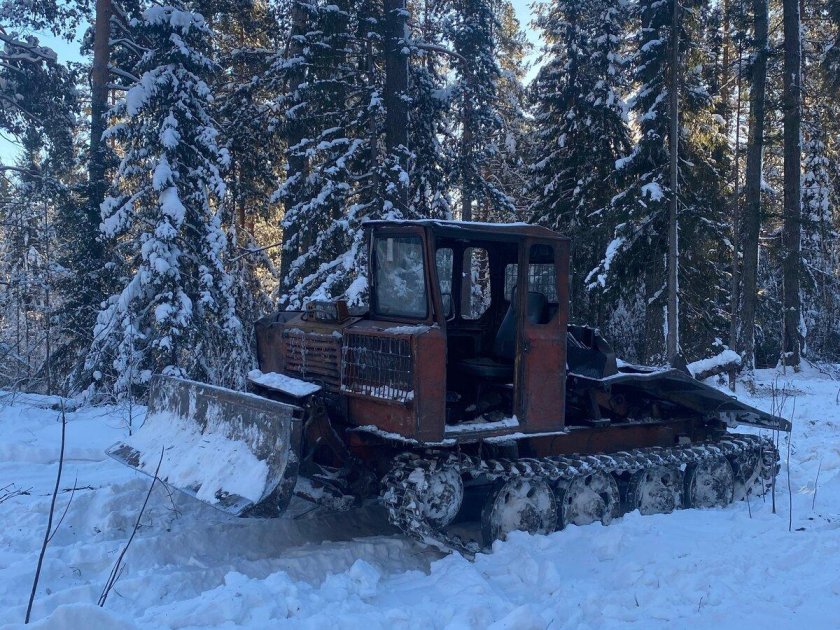 Тдт 55 а трактор трелевочный