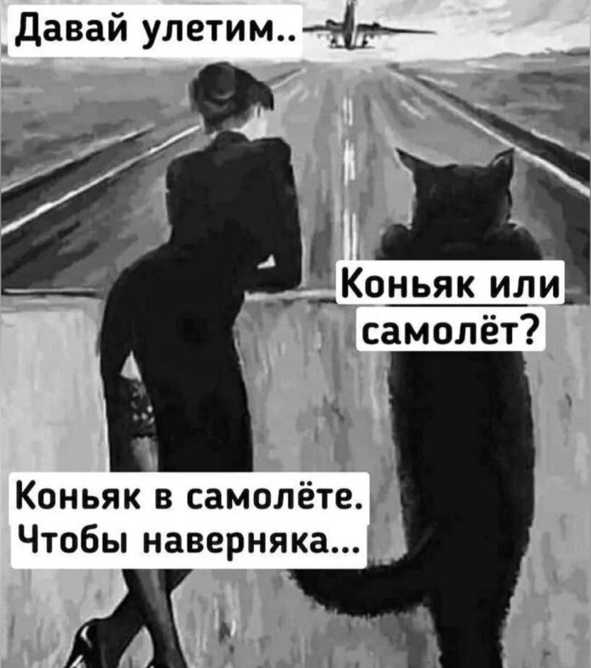 Давай улетим самолет или коньяк