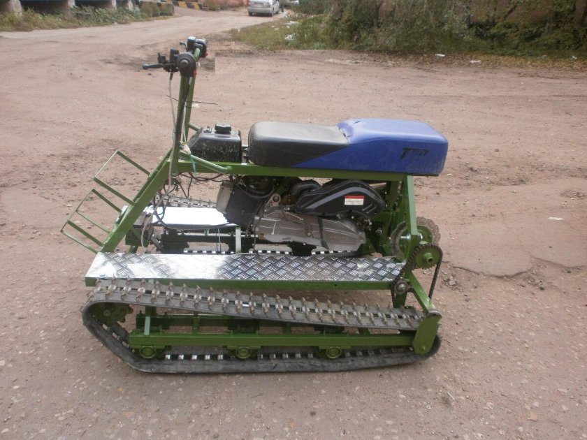 Гусеница муравей мотособака