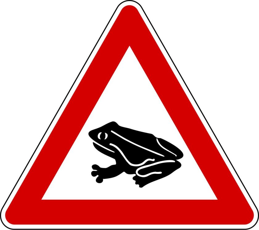 Дорожный знак Дикие лягушки