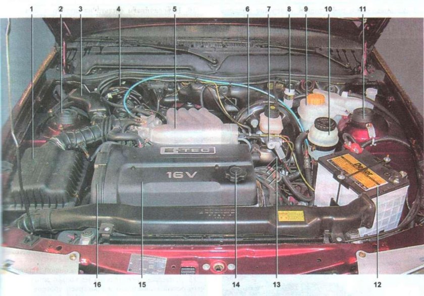 Нексия 16 клапанная под капотом