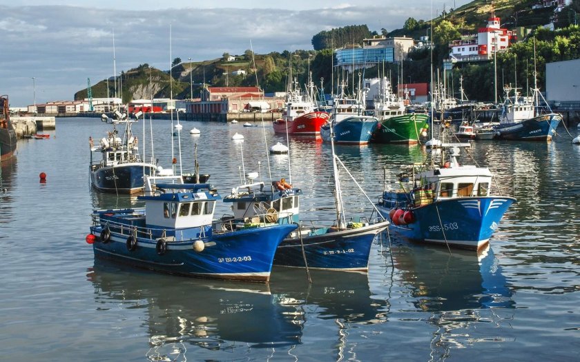 Зонгулдак порт