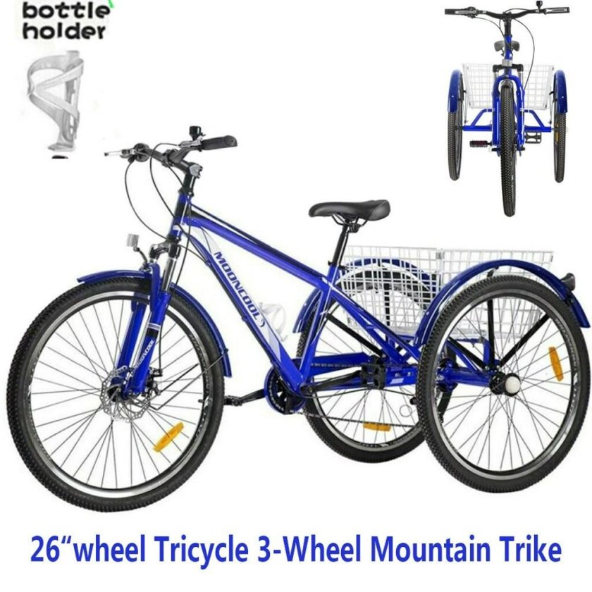 Two-Wheeled MTB Bike