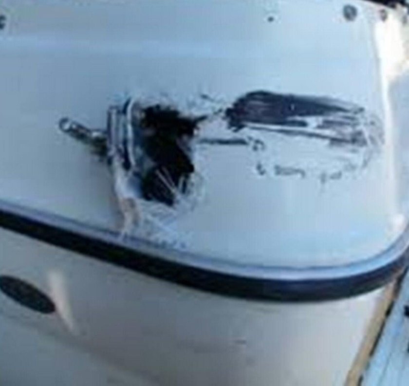 Катер из стеклопластика