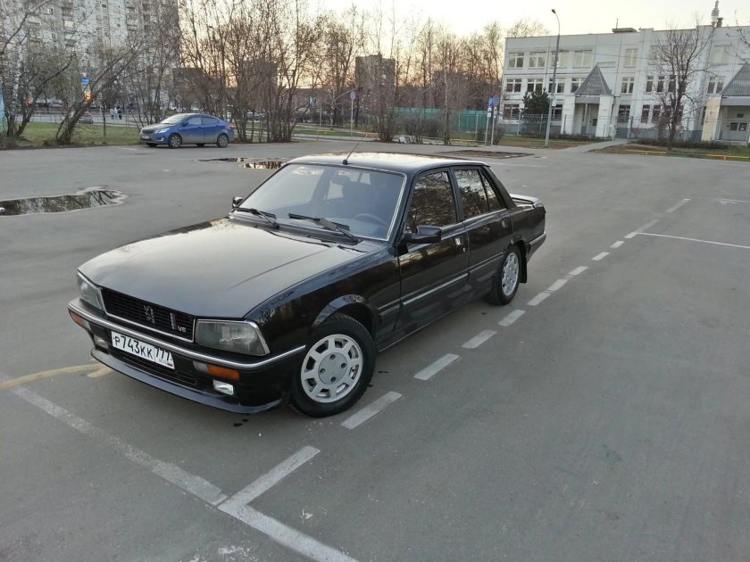 Peugeot 505 1979 1992