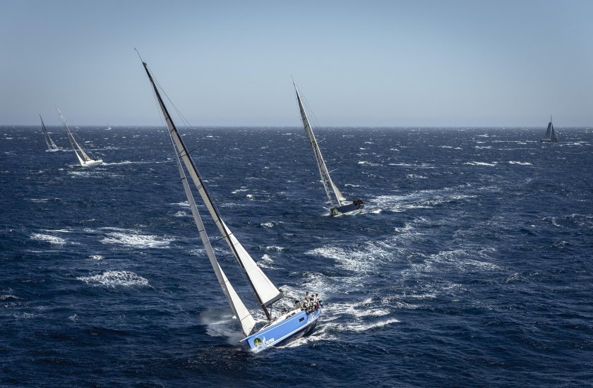 Яхта регата