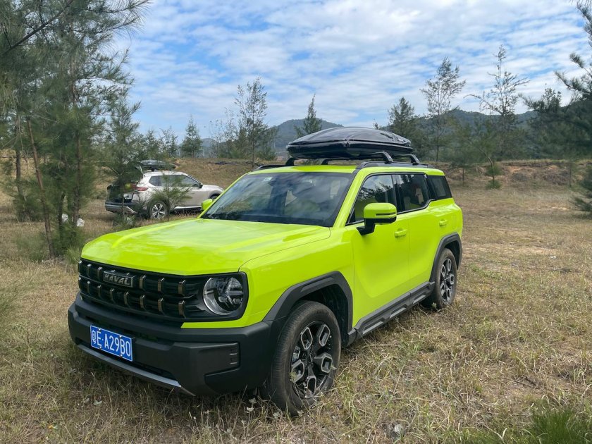 Хавал кул дог